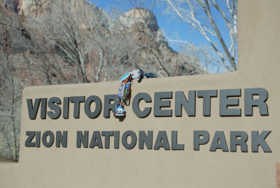 Anteater at the Zion National Park Visitor Center