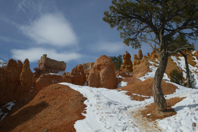 Navajo Loop Trail 