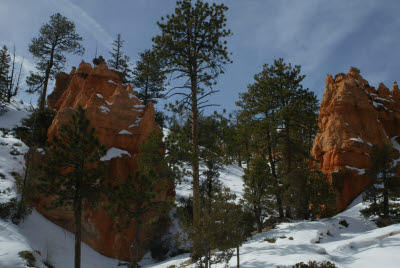 Zion National Park