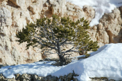 Bryce Canyon NP