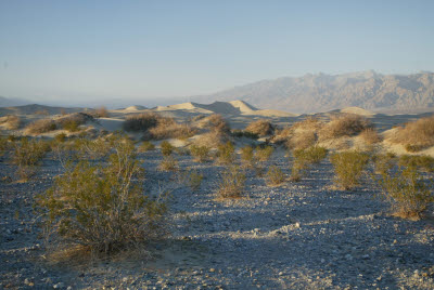 Stovepipe Wells Sand Dunes