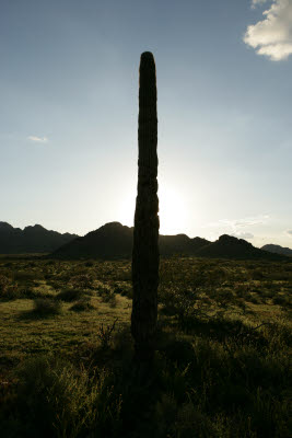 Piestewa Peak Hike