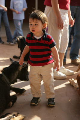 John in the Petting Zoo