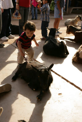 John in the Petting Zoo