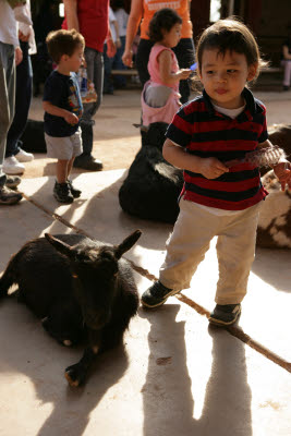 John in the Petting Zoo