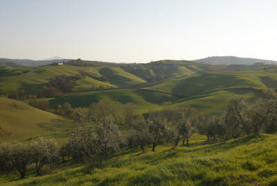 Tuscan countryside