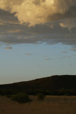 Countryside of Okonjima