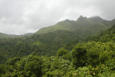 Views from El Yunque Observation Tower