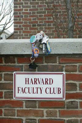 Anteater at Harvard