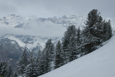 Bormio