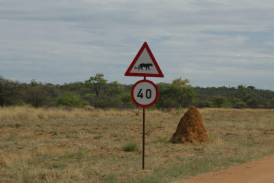 Leopard sign on the way to Okonjima