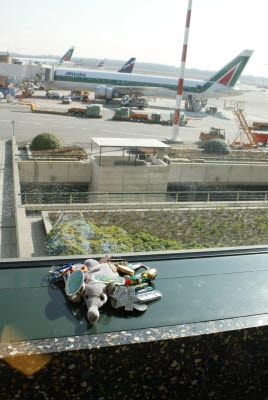 Anteater at Malpensa Airport, Milan, IT