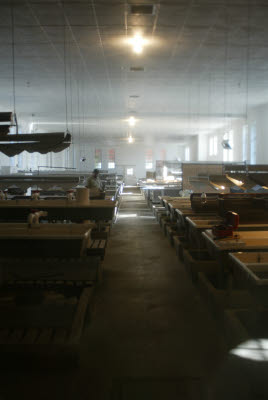 Inside the Whitney Fish Hatchery