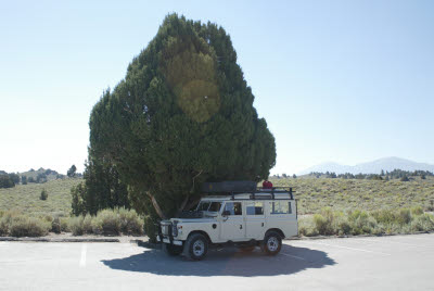 Land Rover rests in the shade