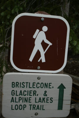 Trail Marker / Great Basin National Park