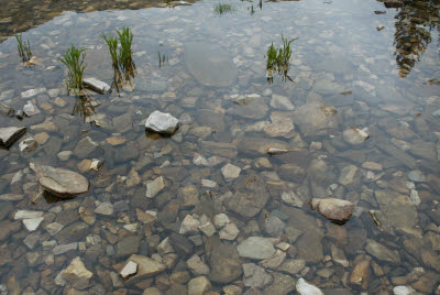 Stillnes of Teresa Lake