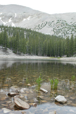 Teresa Lake