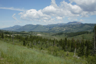 Trailhead to Periodic Springs