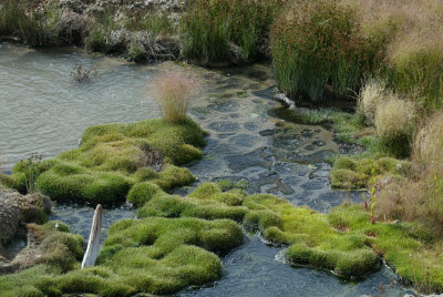 More Hot Springs