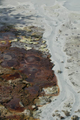 Colors of the Geothermal Areas of Yellowstone NP