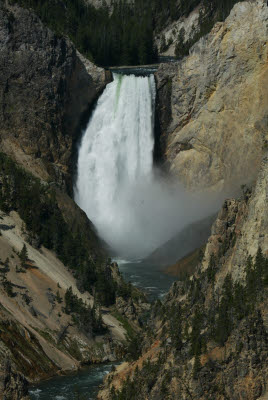 Yellowstone Falls