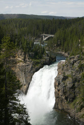 Yellowstone Falls