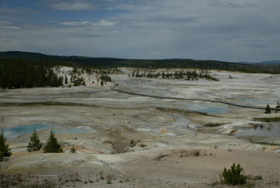 Thermal Area