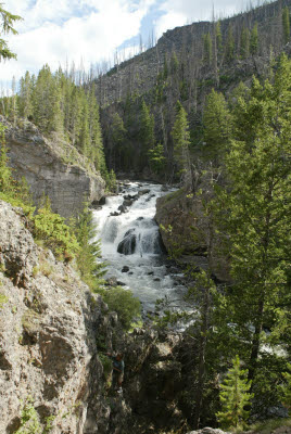 Yellowstone Waterfall