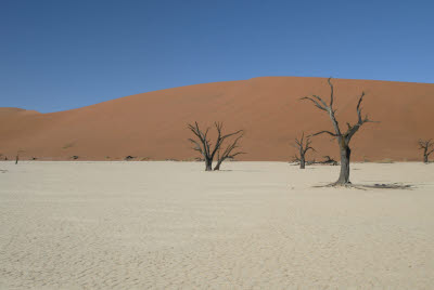 Deadvlei