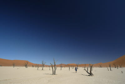 Bill wanders Deadvlei