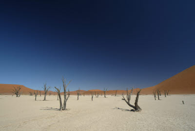 Primo shot of Deadvlei