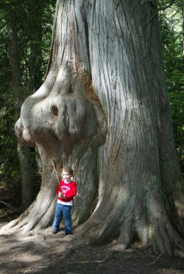 Emma, Cedar, and Stick