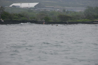 Lisa Surfing