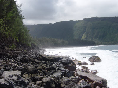 Waipi'o Beach