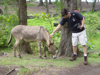 Mark petting a donkey