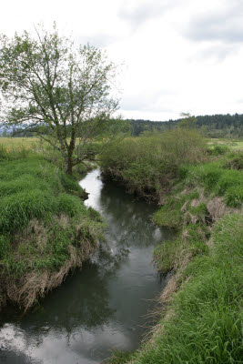 Rochester House - Bobkat Ranch