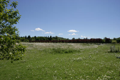 Front 45 and Tree Lined Driveway at Doty Farm