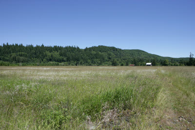 Southwest Corner of Property looking East