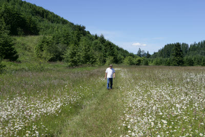 Clark surveying the property