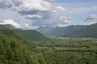 Mt. St. Helens