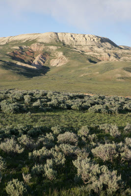 Fossil Butte