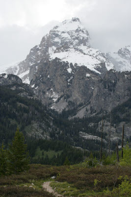 Grand Teton Scene