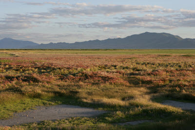 Great Salt Lake Near Antelope Island