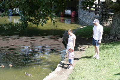 Leventhal's feeding ducks