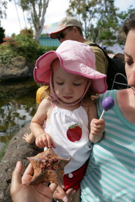 Maya petting a Starfish at Seaworld