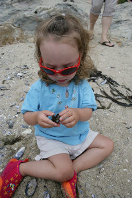 Exploring the Tide Pools at Laguna Beach