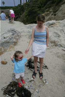 Exploring the Tide Pools at Laguna Beach