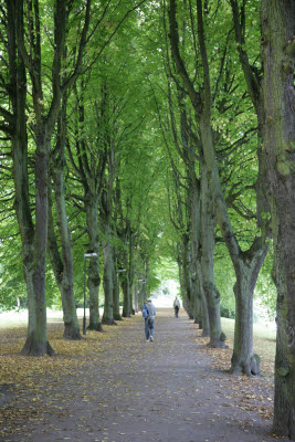 Slottpark in Malm