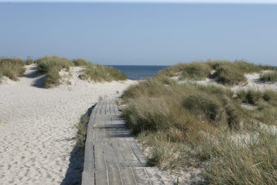 Hagestads Naturreservat, Sandhammeren, Sweden