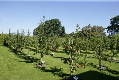 Kiviks Apple House